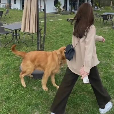 我是劫机者
